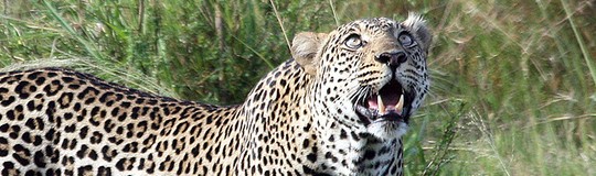 low cost volunteering tanzania