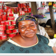 Sun Shade Foundation Microfinance Ghana The Foundation provides micro loans to help poor families and individuals, especially women, to start and grow their own businesses. Free Volunteering in Ghana.