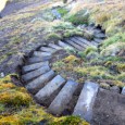 Volunteering with Iceland's Forst Service to aide trail maintenance, trail mapping and erosion control. Free Volunteering. 6 weeks duration in Summer 2013.