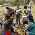 Kusi Sonqo – Low Cost Volunteering in Peru Kusi Sonqo is based in Central Peru. They seek volunteers with experience in medicine, education and construction. Low cost volunteering. Min 1 month commitment